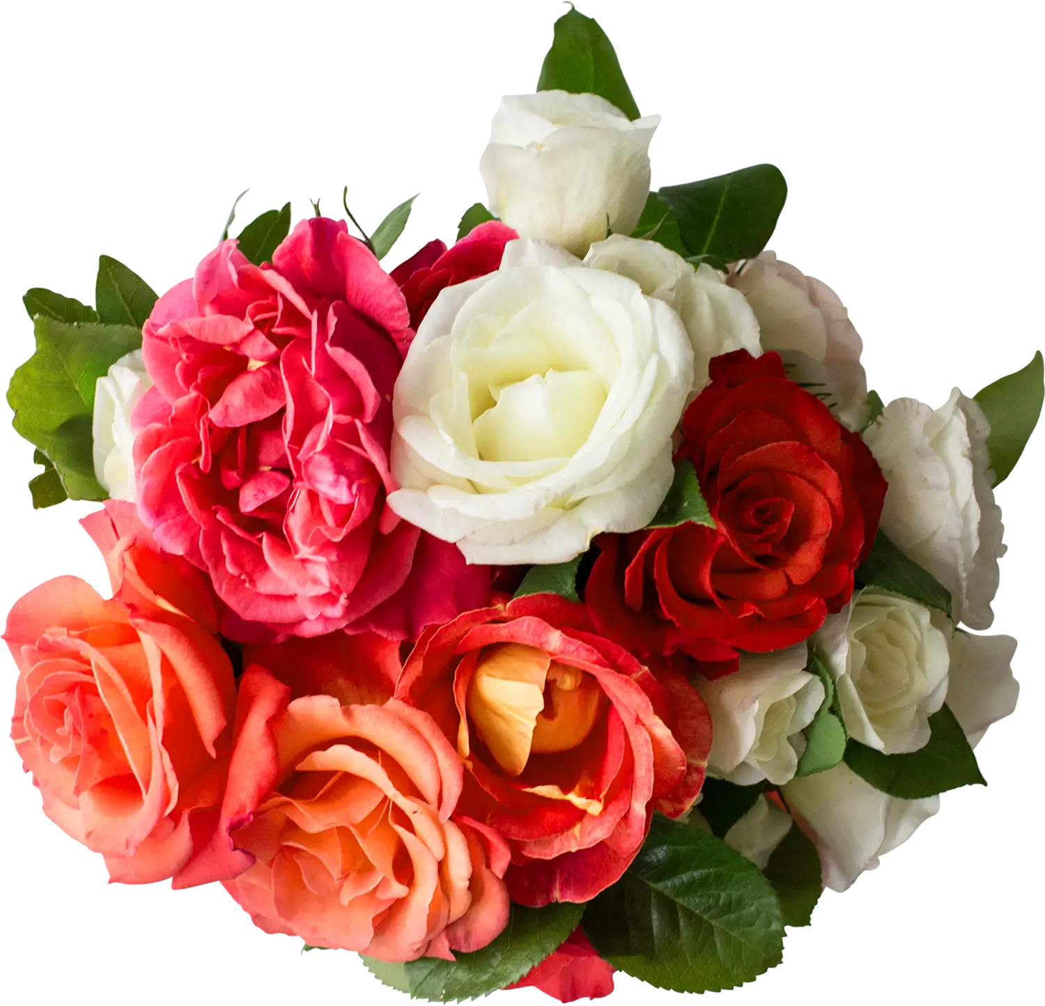 Image link