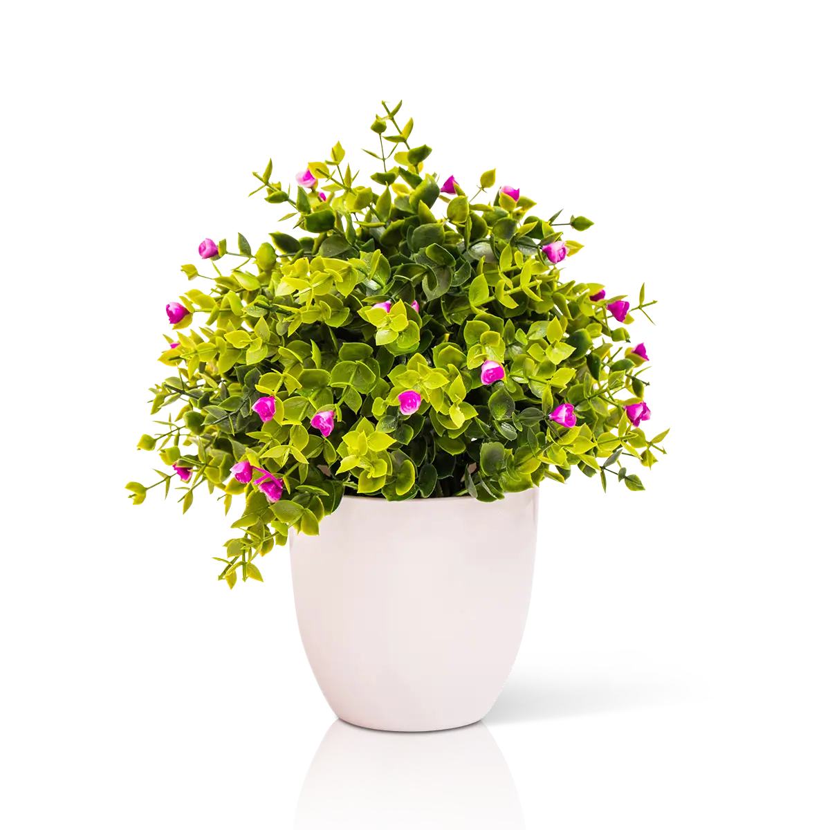 Image link